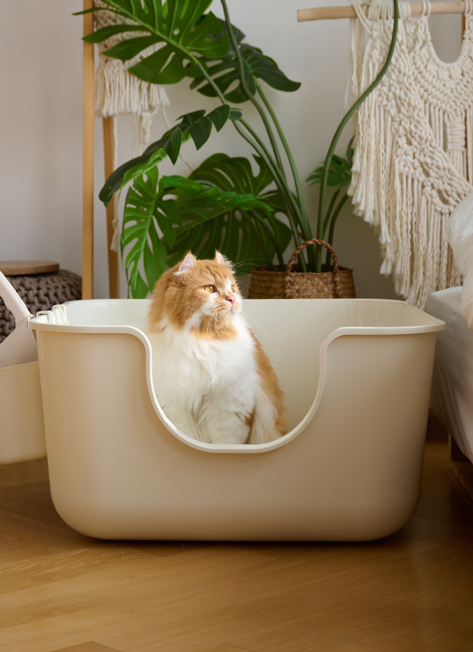 강집사 항균 스퀘어 고양이 화장실